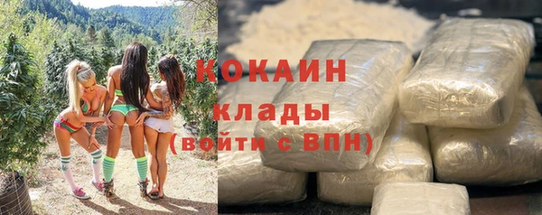прущие грибы Киреевск